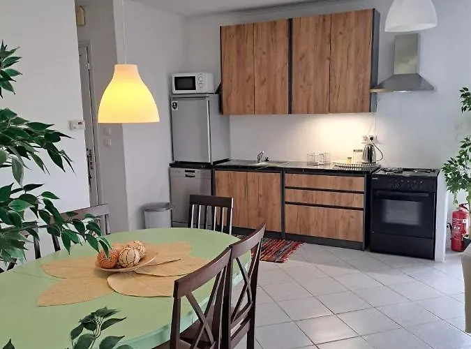 Apartment Alexanders House